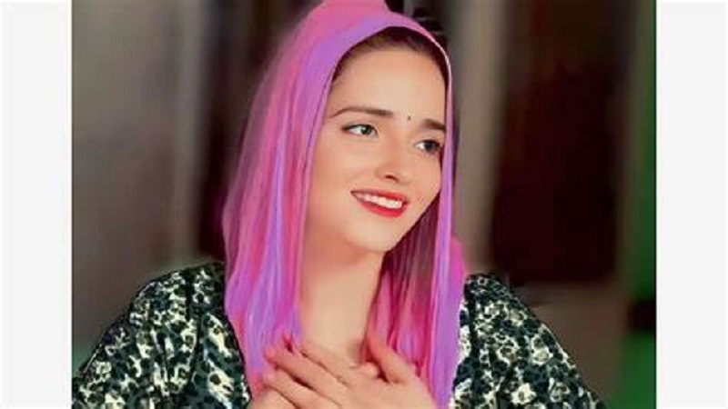 ‘4 मोबाइल फोन, 5 पाकिस्तानी पासपोर्ट...’, एटीएस ने बताई सीमा की पूरी कहानी