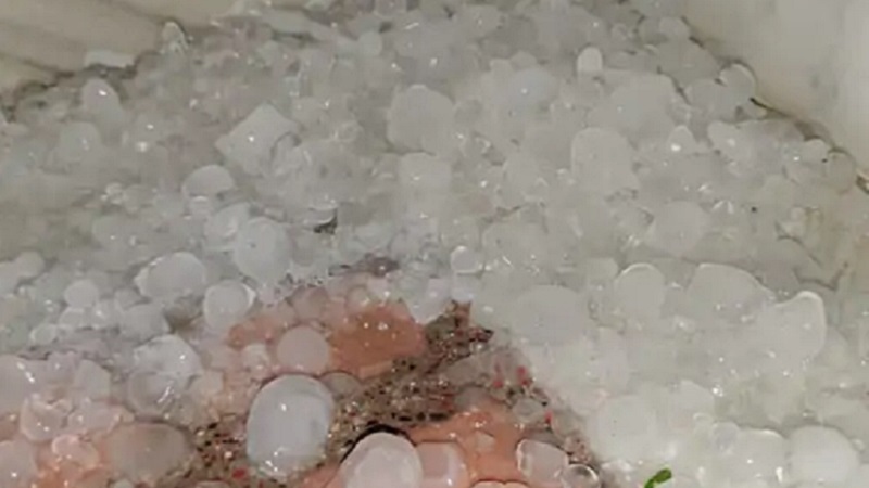 जयपुर में अंधड़-बारिश, जोधपुर में ओले: राजस्थान के 11 जिलों में अलर्ट, 6 जून से गर्मी