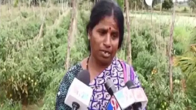 कर्नाटक: चोर खेत से 60 बोरियों में भरकर ले गए 2.5 लाख के टमाटर