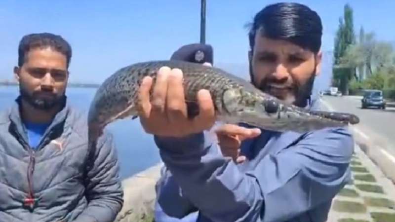 Jammu and Kashmir News : कश्मीर की डल झील में क्या मिल गया कि हिल गए वैज्ञानिक