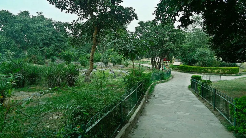 मरुधरा लेगी खुलकर सांस..! 13 शहरों में विकसित होंगे ‘ग्रीन लंग्स’, 19 करोड़ रुपए होंगे खर्च