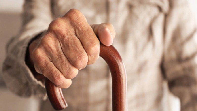 वरिष्ठ नागरिकों को व्हाटसएप पर ही मिल जाएगी पेंशन स्लिप, फ्री में उठाएं इसका फायदा