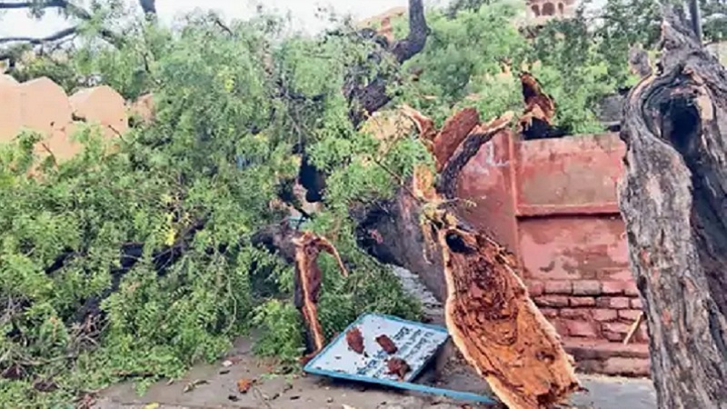 राजस्थान में गर्मी-आंधी-बारिश: पेड़-बिजली के पोल गिरे, 6 जिलों में अलर्ट