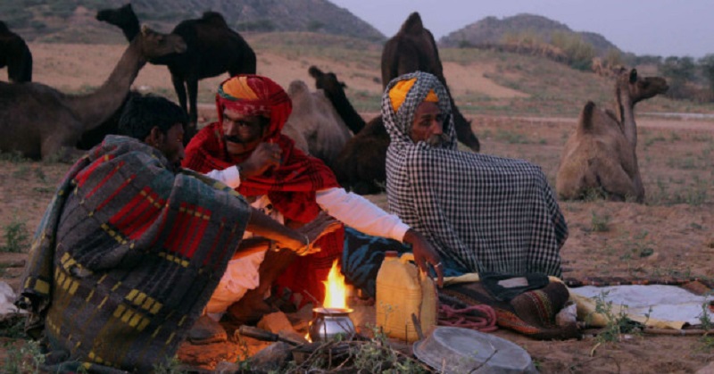 राजस्थान में 15 डिग्री तक पहुंचा रात का तापमान, शेखावाटी में सर्दी का अहसास
