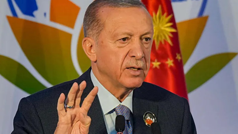 ‘सांप तो सांप ही रहेगा...’, तुर्किए के राष्ट्रपति एर्दोगन पर इजरायली राजदूत का पलटवार