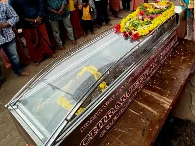 शाकाहारी मगरमच्छ बाबिया की मौत, 70 साल तक मंदिर का प्रसाद खाती रही