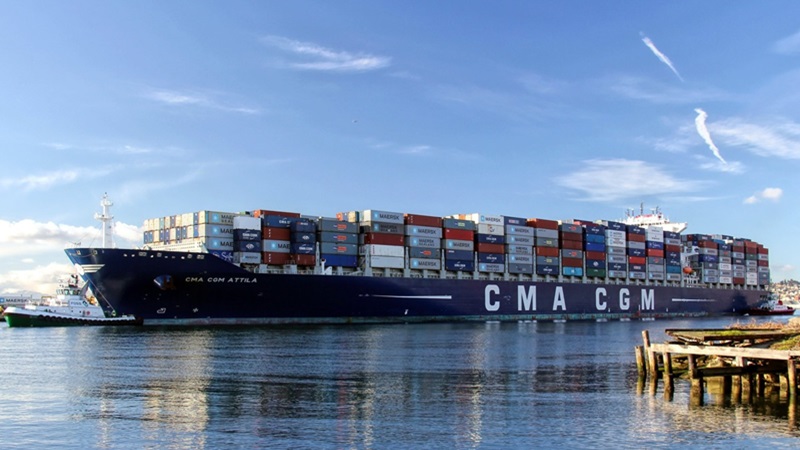 चीन से पाकिस्तान जा रहा था जहाज, कंटेनर खोलते ही मुंबई पोर्ट पर कर लिया जब्त