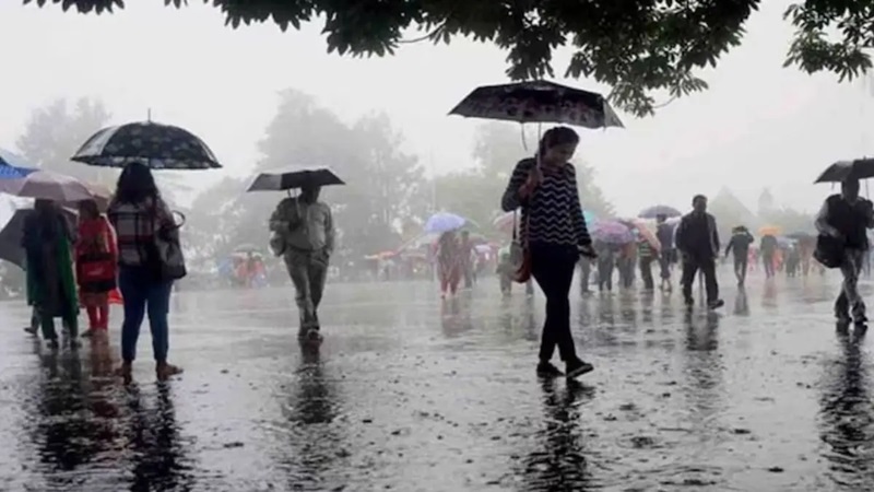 48 घंटे में बारिश मचाएगी कोहराम: गलन व कोहरे के बीच 29 जिलों में रेड अलर्ट