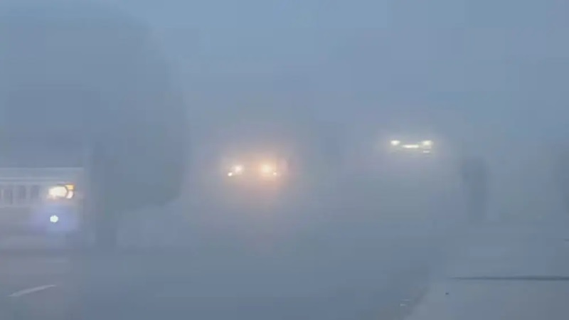 मौसम विभाग की चेतावनी: 2 दिन चलेगी जबरदस्त शीतलहर पड़ेगा पाला