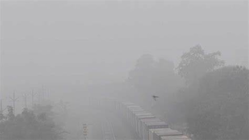 राजस्थान में बदला मौसम: इन जिलों में आज कोहरे का अलर्ट 