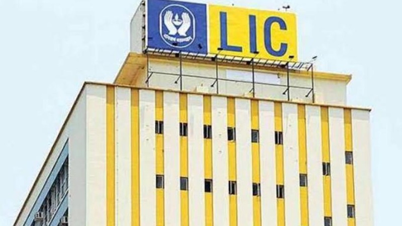 एलआईसी शेयर खरीदने को उमड़े लोग: किन वजहों से निवेशकों का जोश हाई