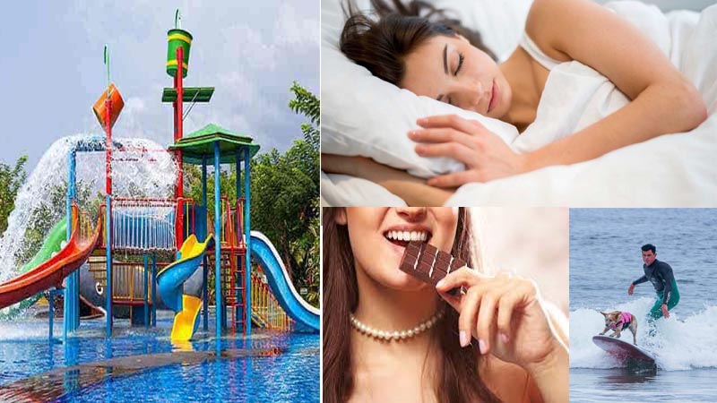 मौज-शौक पूरे करने वाले जॉब, मिलते हैं लाखों रुपये