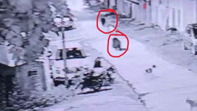 शहर में दौड़ लगाते दो भालू सीसीटीवी में कैद ; लोगो में फैली दहशत