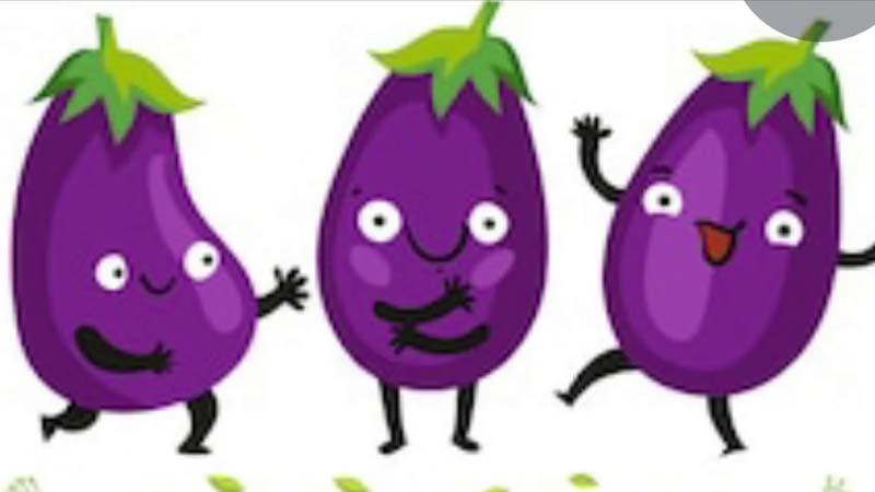   आस्था के बैंगन..!