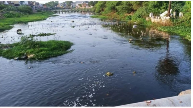 कैसे कोटा शहर के कचरे से चंबल नदी के जलीय जीवों का जीवन संकट में आ गया..? मिला NGT से नोटिस..!