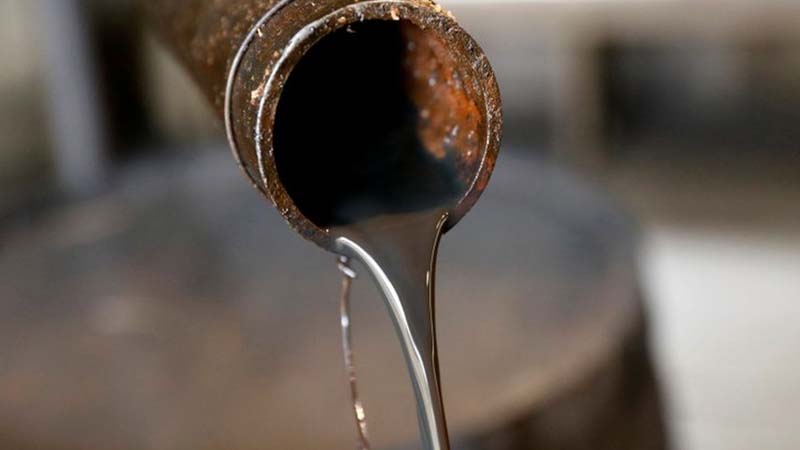 भारत लगा रहा मौके पर चौका, रूस से सस्ता तेल खरीदकर अन्य देशों को किया पेट्रोल-डीजल निर्यात, नीदरलैंड्स बना भारत के लिए सबसे बड़ा आयातक