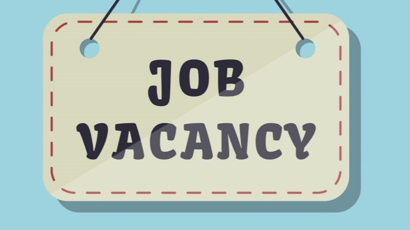 DDA ने  निकाली  687 पदों पर बम्पर भर्ती  : देखें सारी जानकारी और अभी आवेदन करें