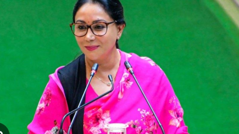 अंतरिम बजट में दिया कुमारी ने की ERCP सहित कई बड़ी घोषणाएं , यहाँ पढ़ें क्या क्या है ख़ास 