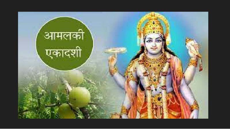 Aamlaki Ekadashi Vrat Katha : आज के दिन एक हजार गौ दान का फल देती हैं आमलकी एकादशी, आज के दिन ज़रूर पढें ये कथा 