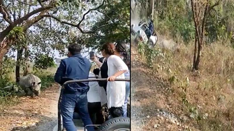 गुस्साए गैंडों का पर्यटकों पे हमला, जीप पलटने से  7 पर्यटक घायल