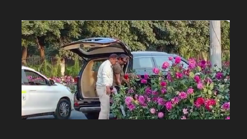 40 लाख की गाड़ी में आये , सरकारी सजावट को धता बता इत्मीनान से गमले छांट कर चलते बने गमले चोर, हुआ ट्रेंड सोशल मीडिया पर..!