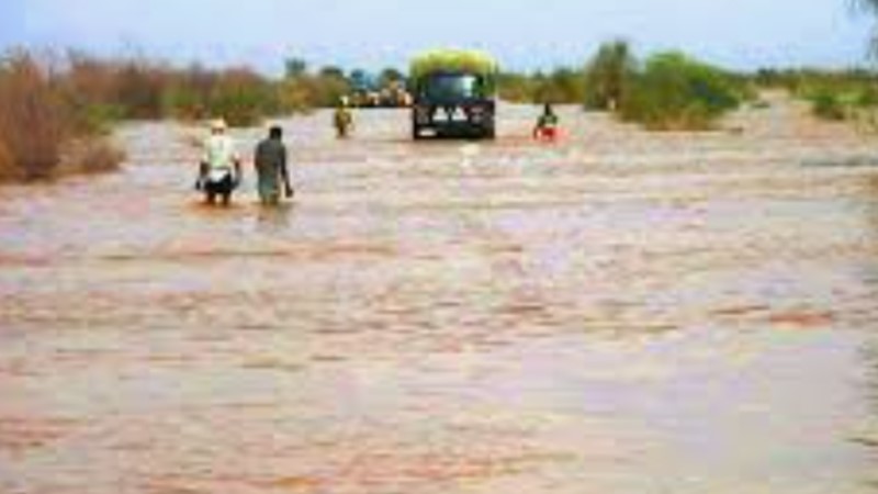 जैसलमेर : रेगिस्तान में इस बार हुई सबसे ज्यादा बारिश.. टूटा रिकॉर्ड