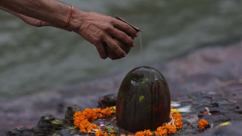 क्या पीड़ित व्यवस्था को डॉ. विक्रम यथास्थितिवाद और आत्मविस्मरण नामक कैंसर से मुक्त कर पायेगा-3