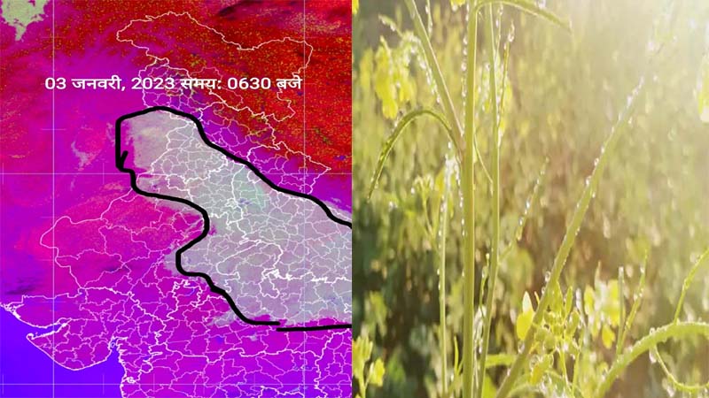 मौसम : राजस्थान के 12 शहरों में शीतलहर की चेतावनी, पाला पड़ने की आशंका, माउंट आबू में पारा -1.5 डिग्री, जमी बर्फ