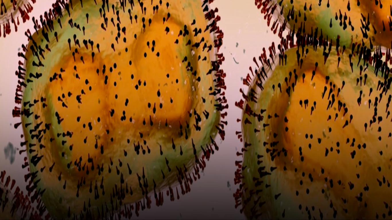 Monkey Pox : बढ़ने लगा है मंकी पॉक्स का खतरा