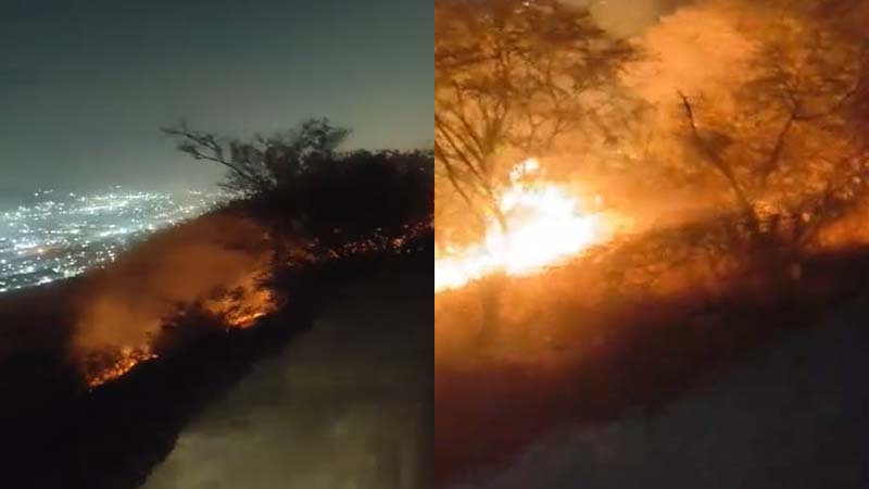 जयपुरः नाहरगढ़ की पहाड़ी और जंगलों में लगी आग..पौन घंटे में पाया गया काबू