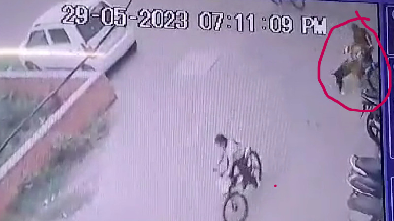 साइकिलिंग कर रही बच्ची पर अचानक पिटबुल कुत्ते ने कर दिया हमला, मालिक के खिलाफ मामला दर्ज