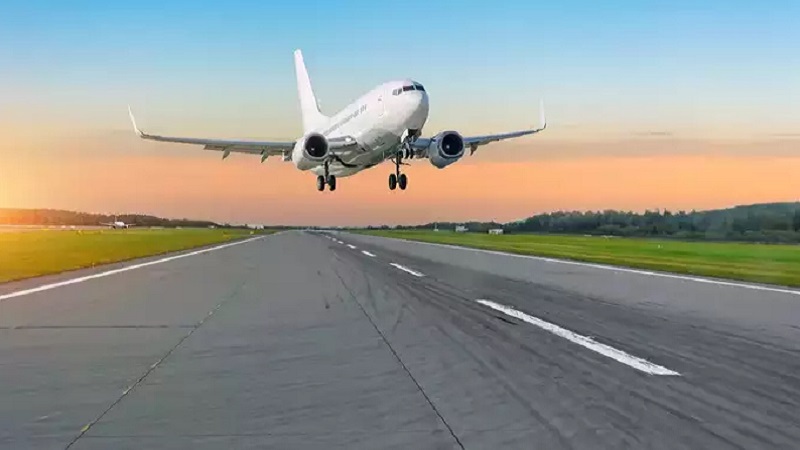 भूलकर भी हवाई जहाज में न ले जाएं यह फल...लेने के देने पड़ जाएंगे