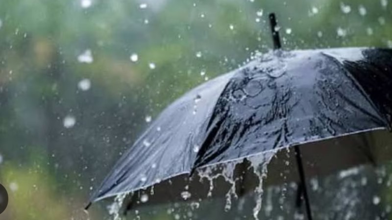 जयपुर में हुई झमाझम बारिश , मौसम ने  फिर मारी पलटी 