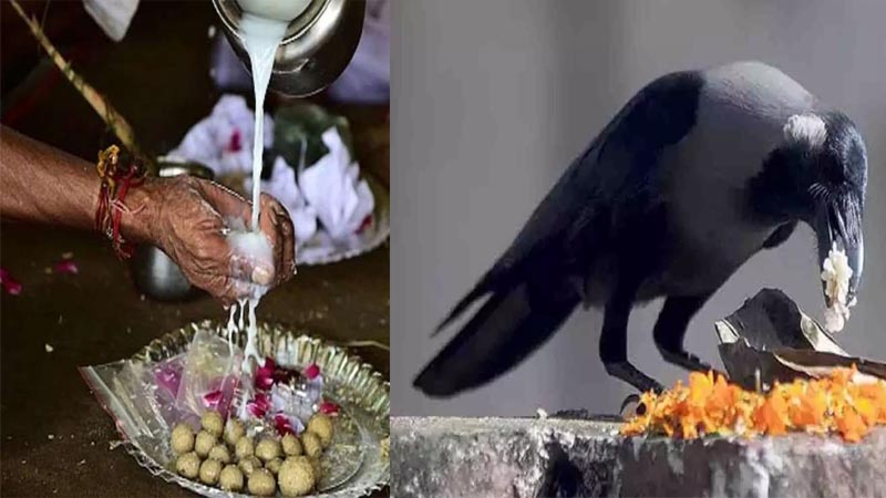 Shradh Paksha : 29 सितंबर से शुरू हो रहा है श्राद्ध पक्ष, तिथिवार जानें पितृदेवों के पूजन का विशेष काल