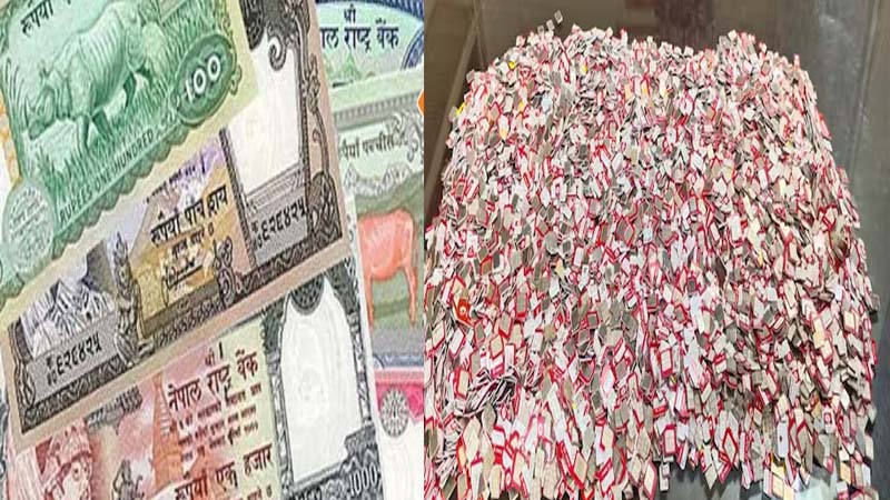 लोकसभा चुनाव से पहले पड़ोसी देशों से बड़े कांड की आशंका, पकड़े गये 8774 सिमकार्ड और नेपाली मुद्रा