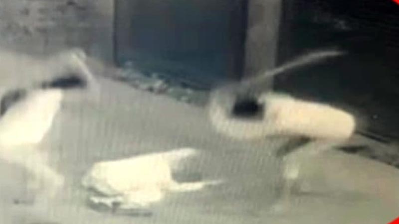 शिक्षक दिवस पर राजस्थान में अध्यापक रहे 85 साल के बुजर्ग टीचर की लाठियों से पिटाई