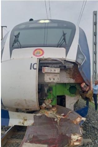 टल गया बड़ा हादसा, भैंसों के झुण्ड से टकराने पर मुंबई-गांधीनगर के मध्य चलने वाली वंदे भारत ट्रेन का अगला हिस्सा क्षतिग्रस्त
