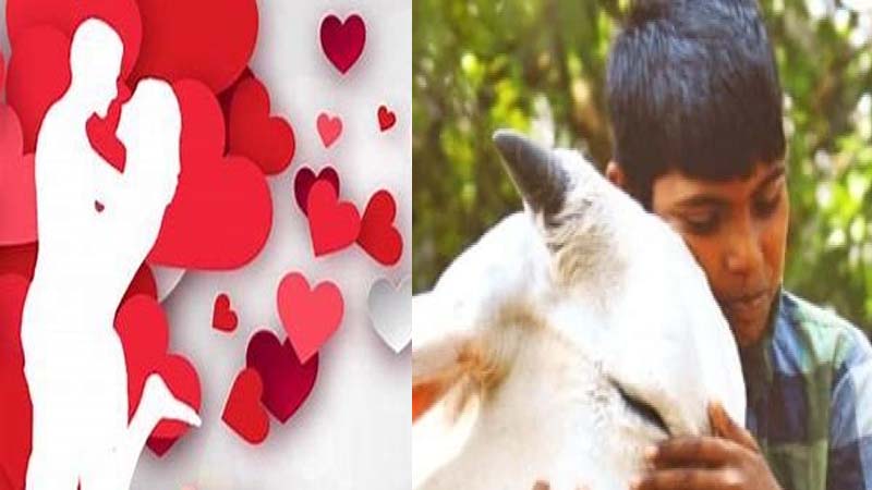 Valentine's Day : 14 फरवरी को गोमाता को गले लगाने की अपील की एनिमल वेलफेयर बोर्ड ऑफ इंडिया ने, कहा वैलेंटाइन डे नहीं Cow Hug Day मनाएं