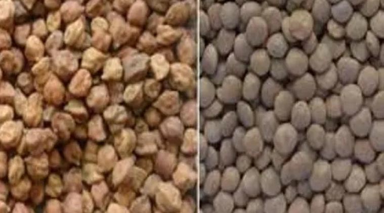 चना खरीद मात्रा बढ़ाने में देरी के लिए केंद्र व राजस्थान सरकार दोनों दोषीः रामपाल जाट