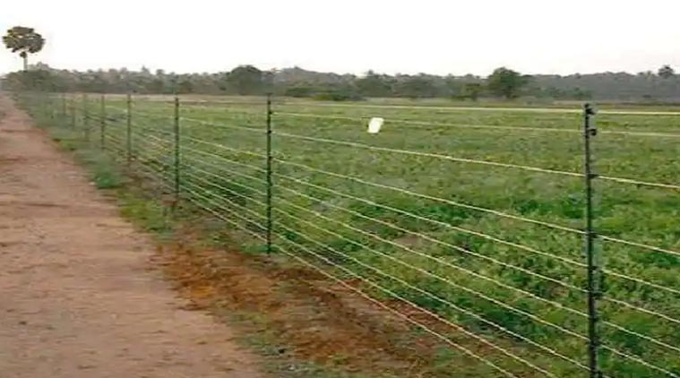 तारबंदी के लिए राजस्थान के किसानों को राज्य सरकार की ओर से 40 हजार रुपये का अनुदान