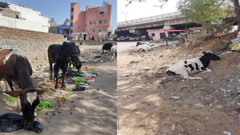 तमाम अव्यवस्थाओं से जूझ रहे गंगोत्री नगर के लोगों की सुनने वाला कोई नहीं