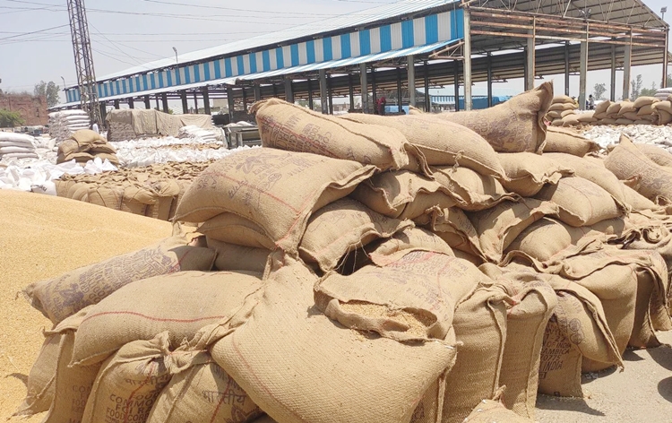गेहूं जमाखोरों के विरुद्ध हो सकती है कड़ी कार्रवाई