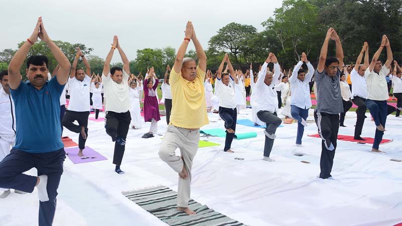 Rajasthan: उत्साह, उमंग तथा उल्लास के साथ मनाया गया अंतर्राष्ट्रीय योग दिवस समारोह.. आयुर्वेद मंत्री के नेतृत्व में हजारों लोगों ने किया योगाभ्यास