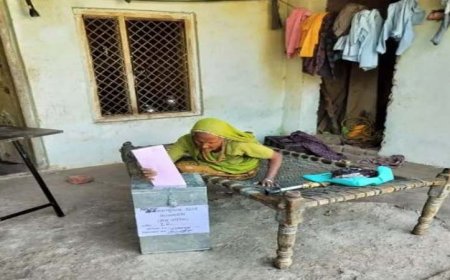 राजस्थान विधानसभा उपचुनाव 2024, होम वोटिंग: पहले दिन 900 मतदाताओं ने वोट डाले