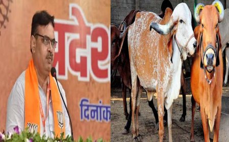 मुख्यमंत्री दुग्ध उत्पादक सम्बल योजना के तहत राजस्थान के 3.25 लाख से अधिक दुग्ध उत्पादकों को सीएम भजनलाल ने 183.22 करोड़ रुपये का डीबीटी के माध्यम से किया भुगतान