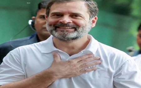 नागरिकता को लेकर राहुल गांधी की परेशानियां बढ़ीं,  सुब्रमण्यम स्वामी की PIL पर दिल्ली हाईकोर्ट में भी सुनवाई.. सीबीआई ने शुरू की जांच