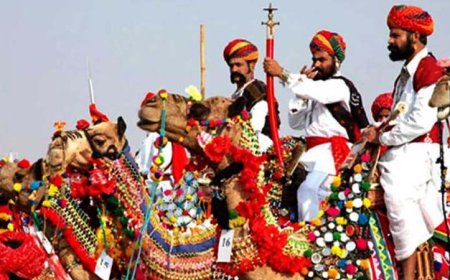 पुष्कर मेला 2024: राजस्थान की संस्कृति और परंपराओं का अनोखा संगम, आज से हो रहा है शुरू