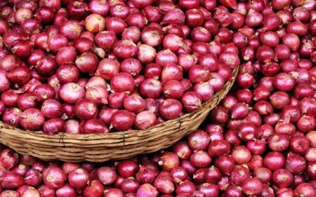 प्याज की बढ़ती कीमतें: निर्यात में उछाल से घरेलू बाजार पर असर
