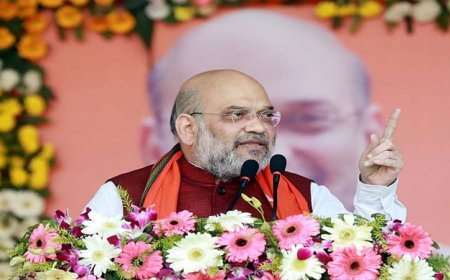 संविधान दिवस तक ऐसा कोई कैदी जेल में न हो, जिसने अपनी एक-तिहाई सजा काट ली हो और उसे न्याय न मिला होः गृह मंत्री अमित शाह