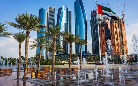 यूएई ने पाकिस्तानी नागरिकों पर लगाया वीजा प्रतिबंध, आखिर क्यों ?